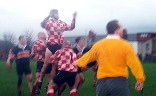 lineout3.JPG (28525 bytes)